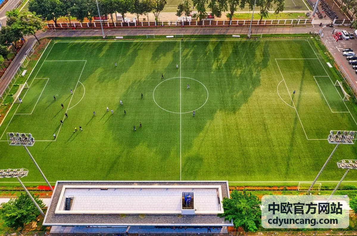 中欧班列集装箱在欧洲场站等待换装与卡车派送交接场景